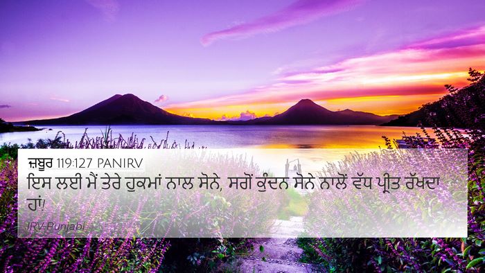 ਜ਼ਬੂਰ 119:127 PANIRV Bible Verse Image