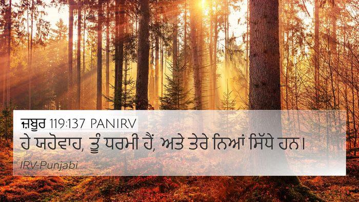 ਜ਼ਬੂਰ 119:137 PANIRV Bible Verse Image
