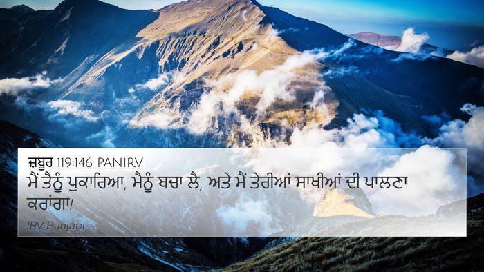 ਜ਼ਬੂਰ 119:146 PANIRV Bible Verse Image