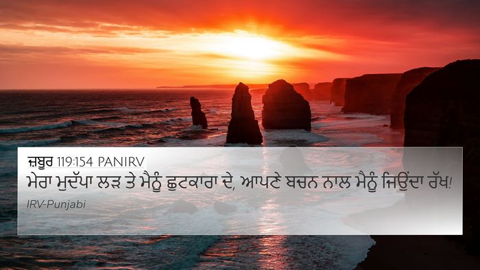 ਜ਼ਬੂਰ 119:154 PANIRV Bible Verse Image