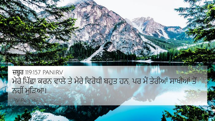 ਜ਼ਬੂਰ 119:157 PANIRV Bible Verse Image
