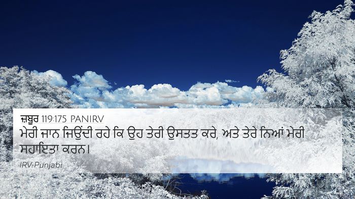 ਜ਼ਬੂਰ 119:175 PANIRV Bible Verse Image