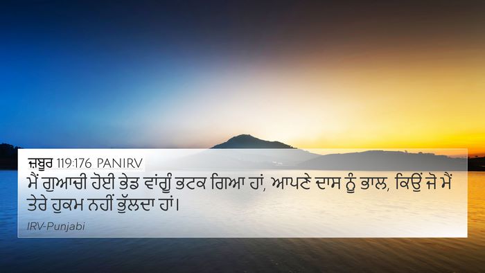 ਜ਼ਬੂਰ 119:176 PANIRV Bible Verse Image