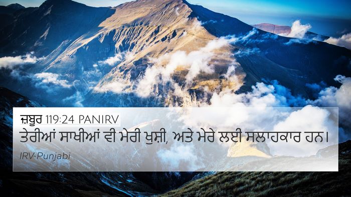 ਜ਼ਬੂਰ 119:24 PANIRV Bible Verse Image