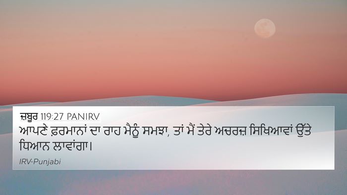 ਜ਼ਬੂਰ 119:27 PANIRV Bible Verse Image