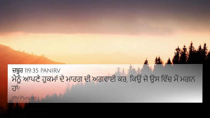 ਜ਼ਬੂਰ 119:35 PANIRV Bible Verse Image