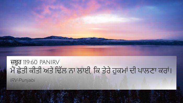 ਜ਼ਬੂਰ 119:60 PANIRV Bible Verse Image