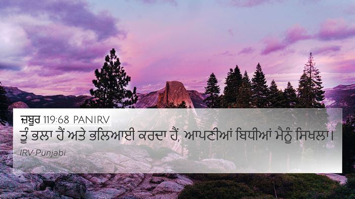 ਜ਼ਬੂਰ 119:68 PANIRV Bible Verse Image
