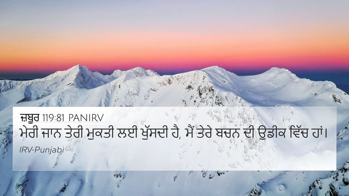 ਜ਼ਬੂਰ 119:81 PANIRV Bible Verse Image