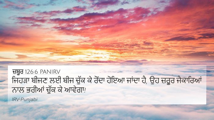 ਜ਼ਬੂਰ 126:6 PANIRV Bible Verse Image