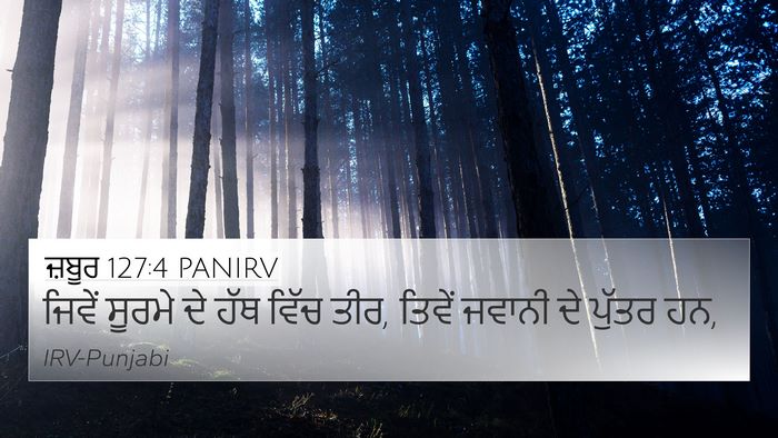 ਜ਼ਬੂਰ 127:4 PANIRV Bible Verse Image