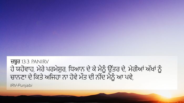 ਜ਼ਬੂਰ 13:3 PANIRV Bible Verse Image