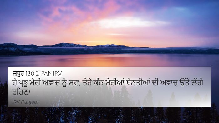 ਜ਼ਬੂਰ 130:2 PANIRV Bible Verse Image