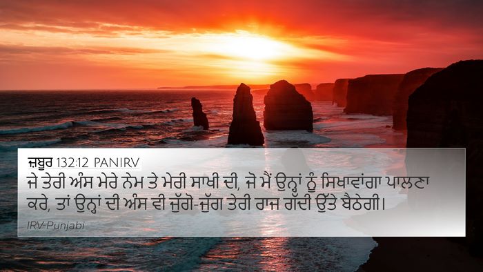 ਜ਼ਬੂਰ 132:12 PANIRV Bible Verse Image