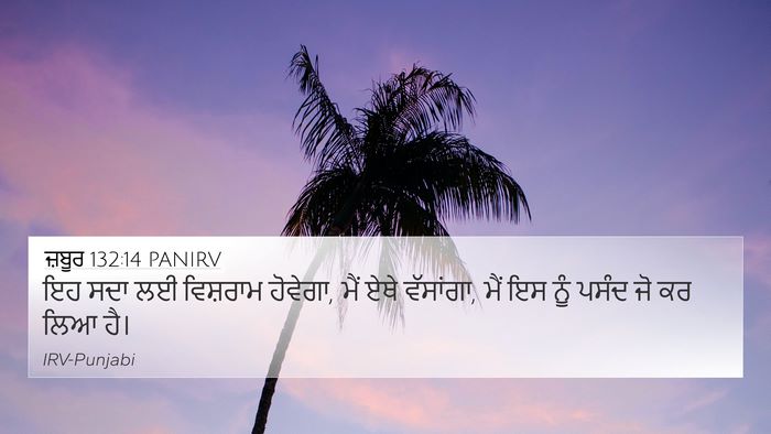 ਜ਼ਬੂਰ 132:14 PANIRV Bible Verse Image