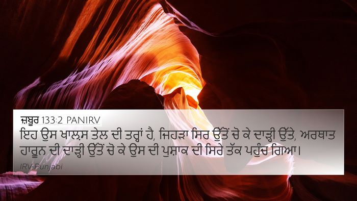 ਜ਼ਬੂਰ 133:2 PANIRV Bible Verse Image