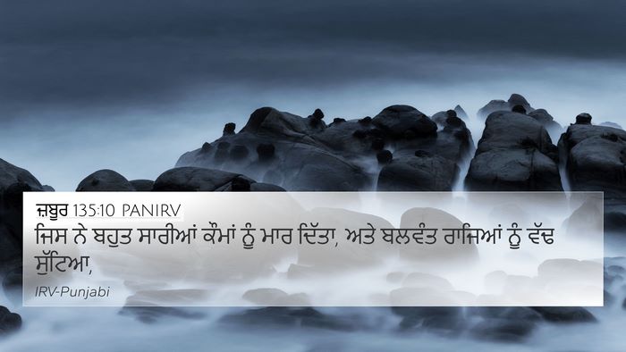 ਜ਼ਬੂਰ 135:10 PANIRV Bible Verse Image