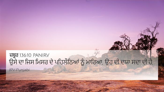 ਜ਼ਬੂਰ 136:10 PANIRV Bible Verse Image