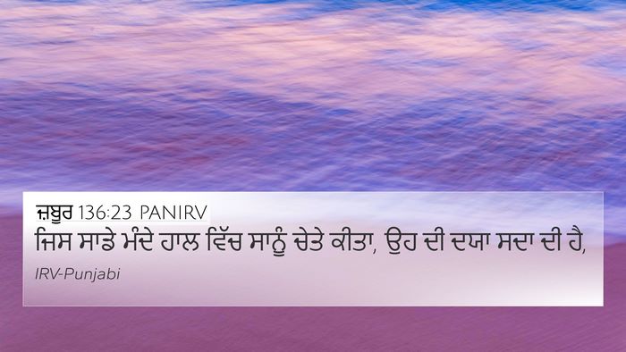 ਜ਼ਬੂਰ 136:23 PANIRV Bible Verse Image