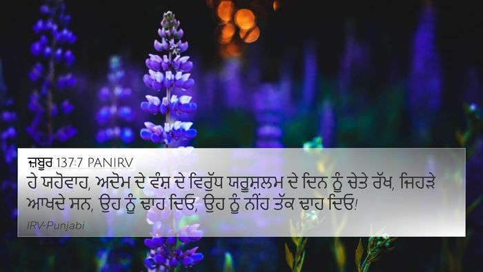 ਜ਼ਬੂਰ 137:7 PANIRV Bible Verse Image
