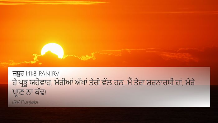 ਜ਼ਬੂਰ 141:8 PANIRV Bible Verse Image