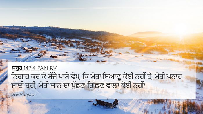 ਜ਼ਬੂਰ 142:4 PANIRV Bible Verse Image