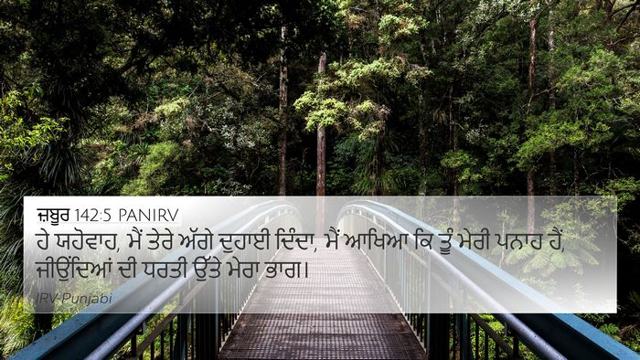 ਜ਼ਬੂਰ 142:5 PANIRV Bible Verse Image