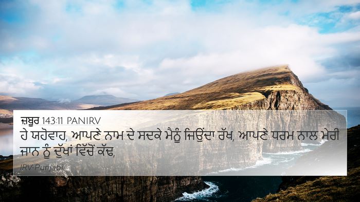 ਜ਼ਬੂਰ 143:11 PANIRV Bible Verse Image