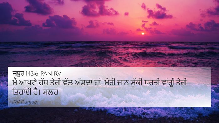 ਜ਼ਬੂਰ 143:6 PANIRV Bible Verse Image