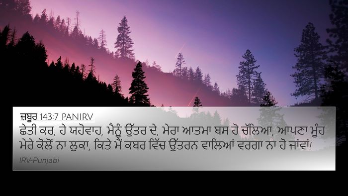 ਜ਼ਬੂਰ 143:7 PANIRV Bible Verse Image
