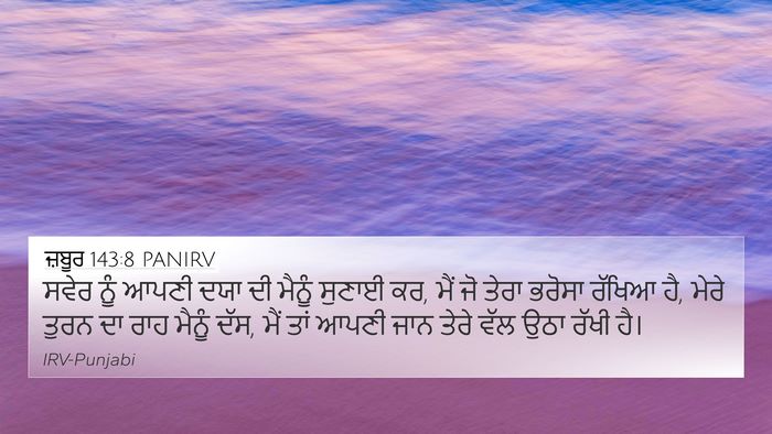 ਜ਼ਬੂਰ 143:8 PANIRV Bible Verse Image