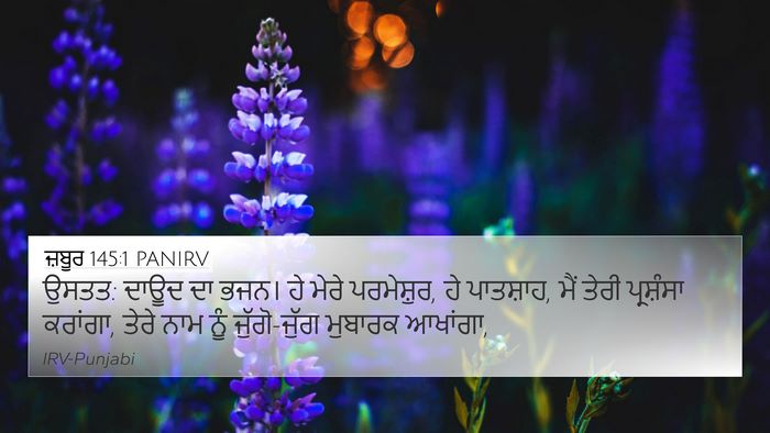 ਜ਼ਬੂਰ 145:1 PANIRV Bible Verse Image