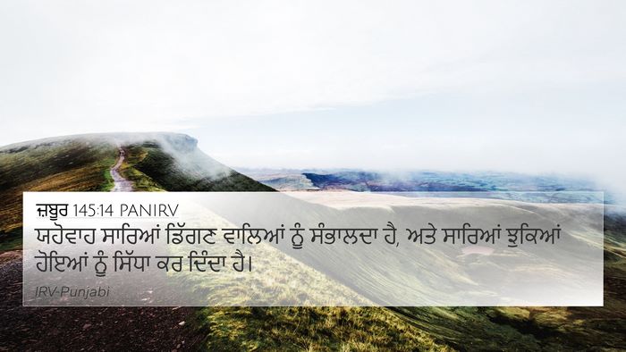 ਜ਼ਬੂਰ 145:14 PANIRV Bible Verse Image