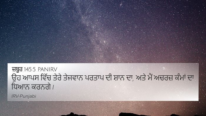 ਜ਼ਬੂਰ 145:5 PANIRV Bible Verse Image