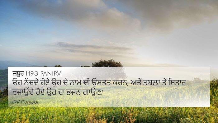 ਜ਼ਬੂਰ 149:3 PANIRV Bible Verse Image