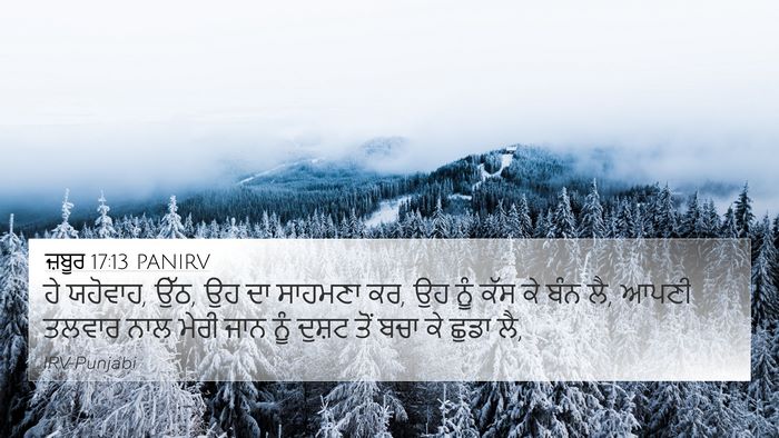 ਜ਼ਬੂਰ 17:13 PANIRV Bible Verse Image