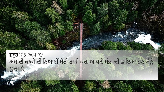 ਜ਼ਬੂਰ 17:8 PANIRV Bible Verse Image