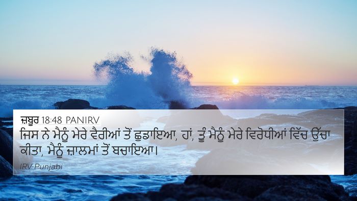 ਜ਼ਬੂਰ 18:48 PANIRV Bible Verse Image