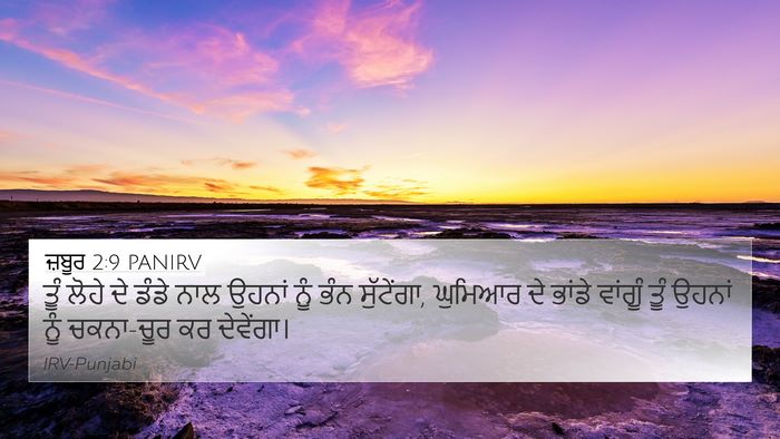 ਜ਼ਬੂਰ 2:9 PANIRV Bible Verse Image