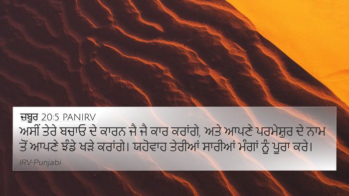 ਜ਼ਬੂਰ 20:5 PANIRV Bible Verse Image