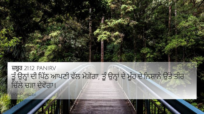 ਜ਼ਬੂਰ 21:12 PANIRV Bible Verse Image