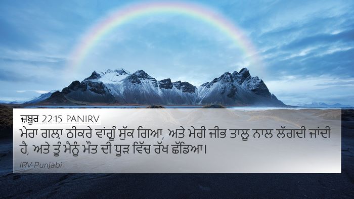 ਜ਼ਬੂਰ 22:15 PANIRV Bible Verse Image