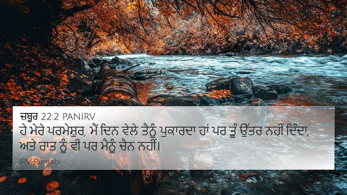 ਜ਼ਬੂਰ 22:2 PANIRV Bible Verse Image