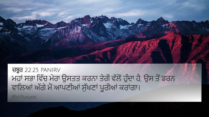 ਜ਼ਬੂਰ 22:25 PANIRV Bible Verse Image