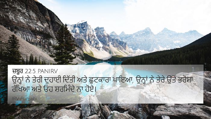 ਜ਼ਬੂਰ 22:5 PANIRV Bible Verse Image