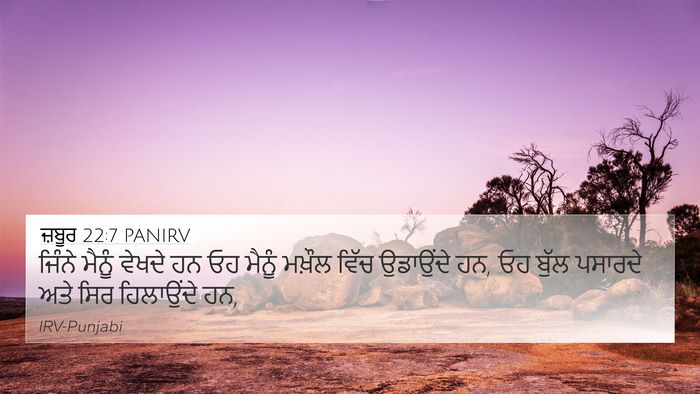ਜ਼ਬੂਰ 22:7 PANIRV Bible Verse Image