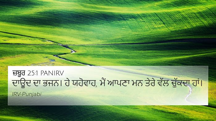 ਜ਼ਬੂਰ 25:1 PANIRV 4K Wallpaper - ਦਾਊਦ ਦਾ ਭਜਨ। ਹੇ - 4K Wallpaper Bible Verse