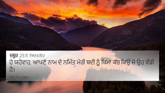 ਜ਼ਬੂਰ 25:11 PANIRV Bible Verse Image