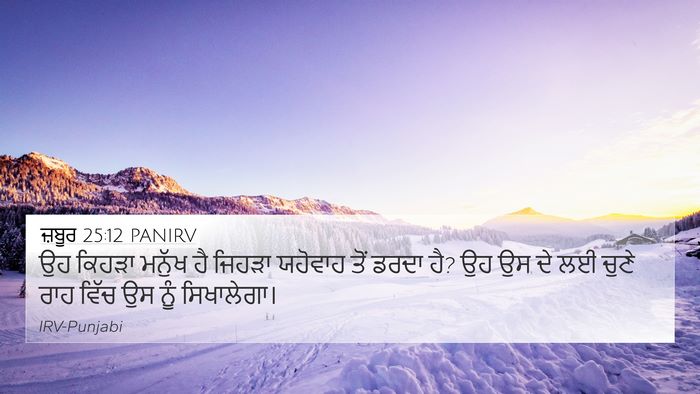 ਜ਼ਬੂਰ 25:12 PANIRV Bible Verse Image