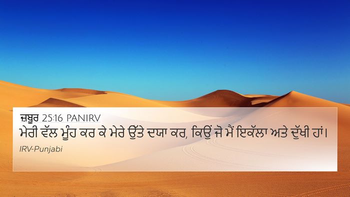 ਜ਼ਬੂਰ 25:16 PANIRV Bible Verse Image